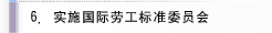 实施国际劳工标准委员会