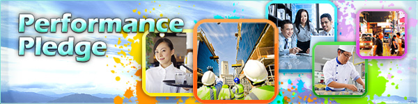 Performance Pledge 2012