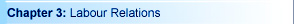 Chapter 3: Labour Relations