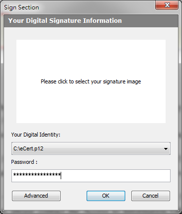Enter password in "Sign Section" Dialog Box