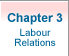 Chapter 3: Labour Relations